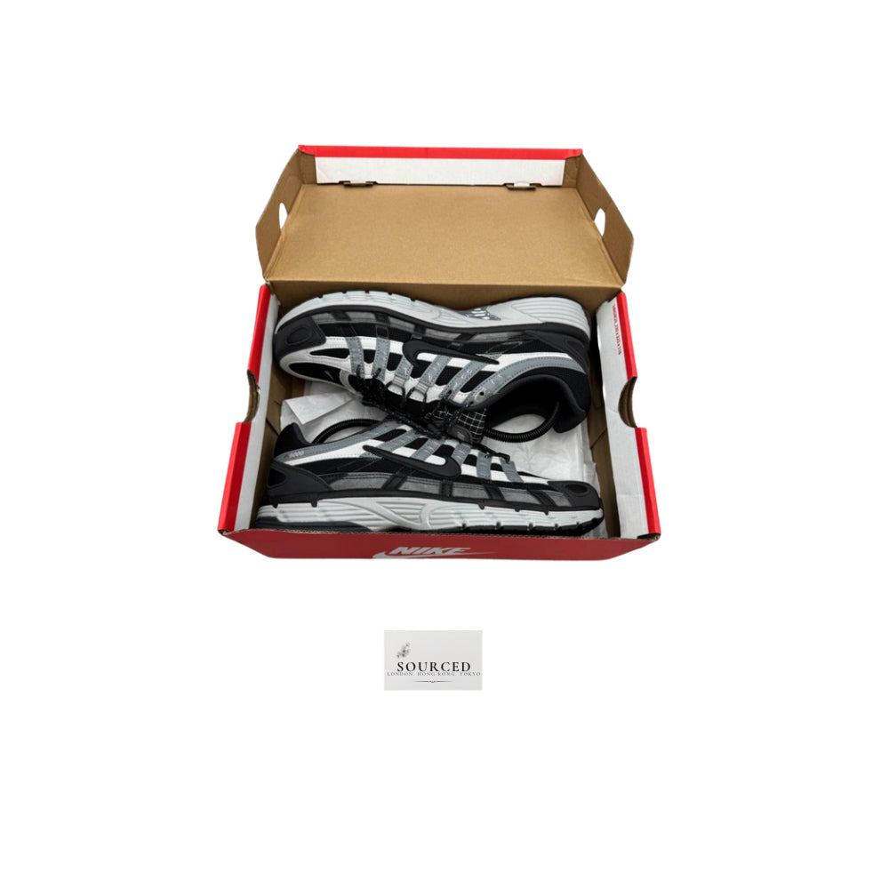 Nike Winterised P6000
