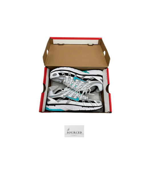 Nike Dusty Cactus P6000